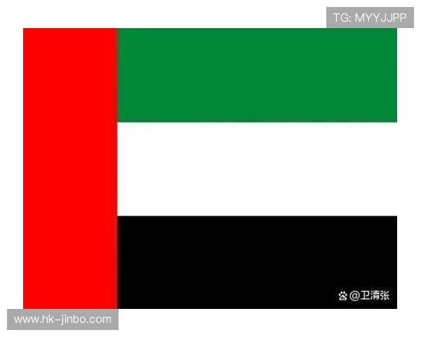 沙特媒体称沙特卡塔尔阿联酋伊拉克联合申办附加赛主办权竞争激烈