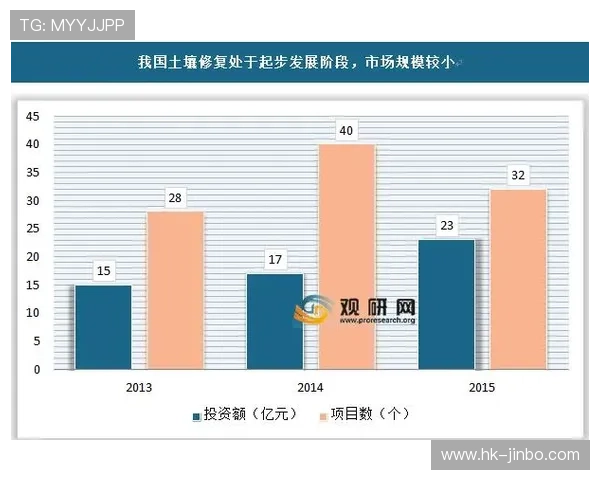 九博国际发展历程与品牌影响力及行业现状全面解析及未来发展趋势